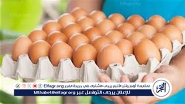 أسعار طبق البيض اليوم الجمعة 30-5-2025 في قنا