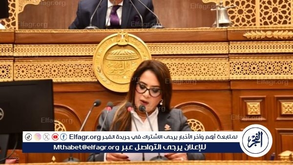 عضو مجلس "الشيوخ" تستعرض طلب المناقشة بشأن تمكين شركات الأمن السيبراني الناشئة