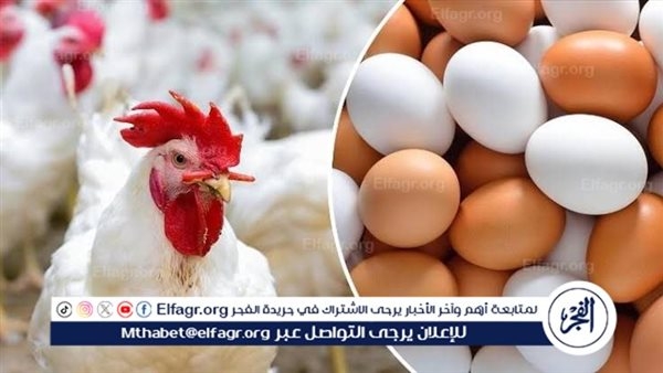 الإصلاح الزراعي يواصل دعم المواطنين والمزارعين.. طرح بيض بأسعار مخفضة
