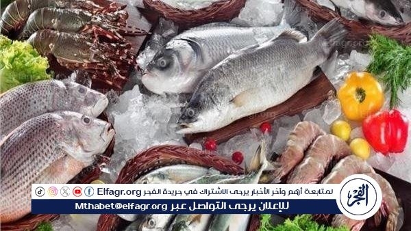 أسعار السمك اليوم الثلاثاء 6-5-2025 في محافظة قنا