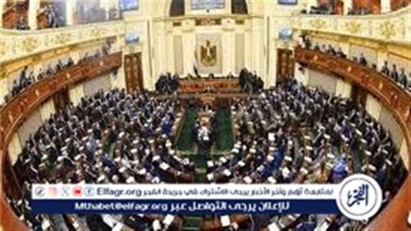 "زراعة النواب" توجه رسالة هامة لوزير قطاع الأعمال بشأن مشكلة مستحقات مزارعي القطن