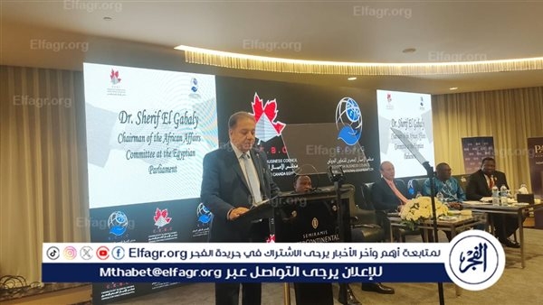 "مصر تعزز علاقاتها الاقتصادية مع إفريقيا".. ندوة موسعة بحضور سفراء أفارقة ورجال أعمال