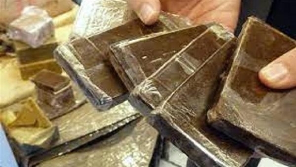 ضبط 19 متهم وبحوزتهم كمية من المواد المخدرة ببورسعيد
