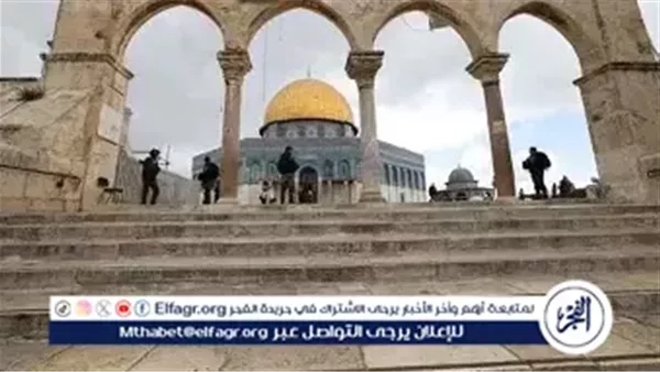 عاجل- حراس المسجد الأقصى يحبطون محاولة مستوطنين ذبح "قربان حي" في باحاته