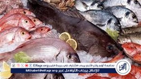 تعرف على أسعار الأسماك اليوم الثلاثاء الموافق 13-5-2025 فى سوهاج