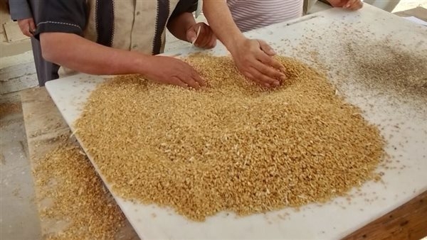 استلام 110 ألف طن من القمح المحلي بمواقع التخزين بالصوامع والشون منذ انطلاق موسم الحصاد والتوريد بالجيزة