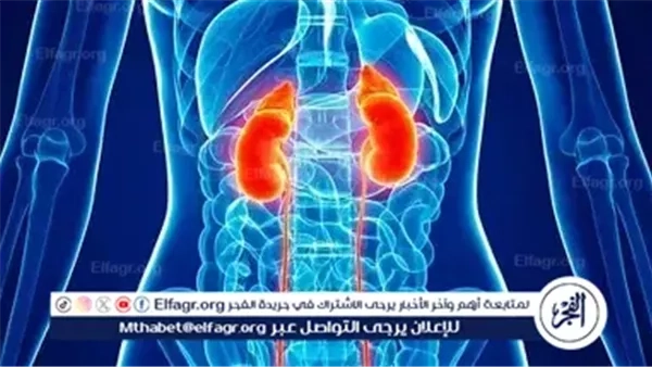 أدوية شائعة قد تضر الكلى وتؤدي إلى فشلها.. تعرف على أبرزها