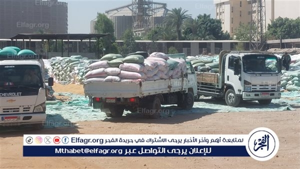 توريد 132 ألف طن قمح لـ 28 موقعًا تخزينيًا حتى اليوم فى أسيوط
