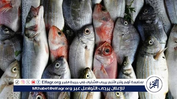 تعرف على أسعار الأسماك اليوم الثلاثاء الموافق 20-5-2025 فى سوهاج