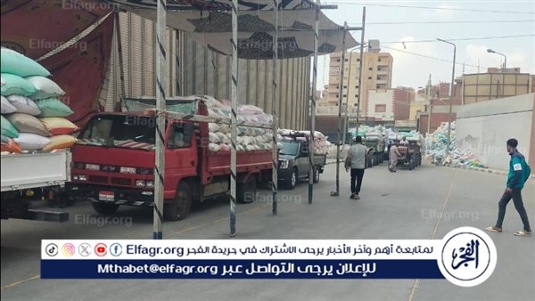 محافظ الدقهلية:توريد 263 ألف طن قمح محلي بمراكز التوريد والتخزين منذ بداية موسم الحصاد