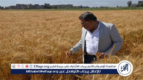 محافظ الدقهلية: استمرار توافد محصول القمح وتوريد 292 ألف طن بمراكز التوريد والتخزين