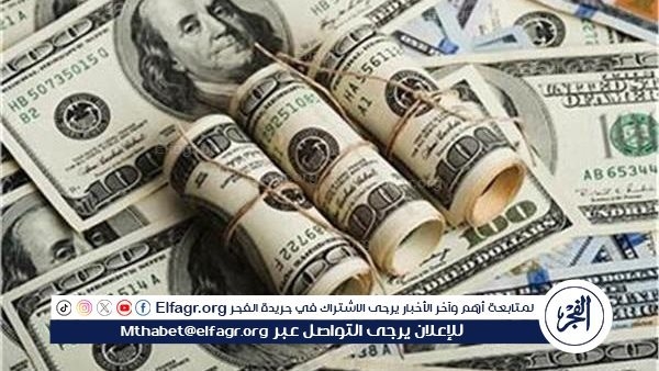 الدولار يواصل استقراره أمام الجنيه.. أسعار العملات اليوم السبت في البنوك المصرية