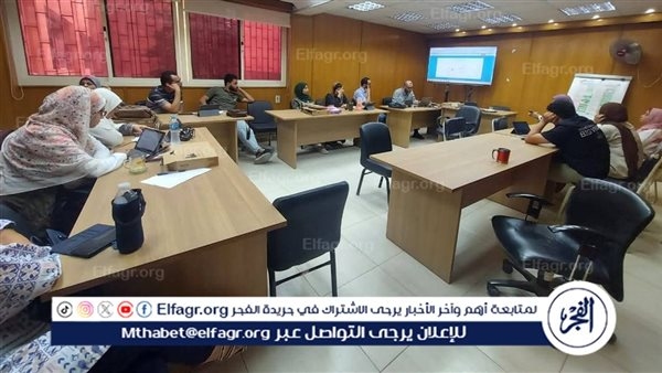 تدريب مسؤولي تقصي وفيات الأمهات بالفيوم على آلية الميكنة الإلكترونية