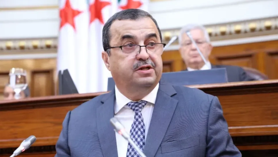 بتروكيمياء: مشاريع كبرى قيد الإنجاز