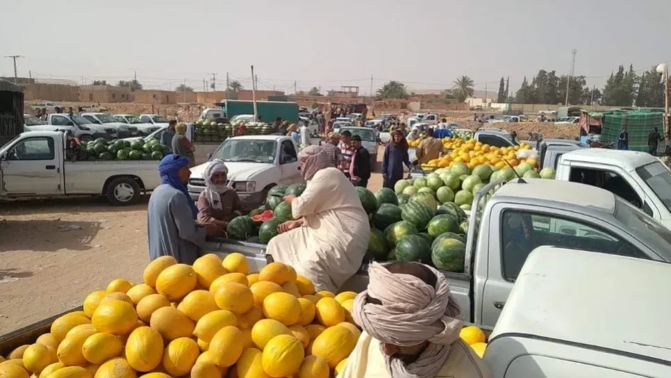 روبورتاج: حاسي الفحل.. "بورصة الدلاع" في الجنوب الجزائري