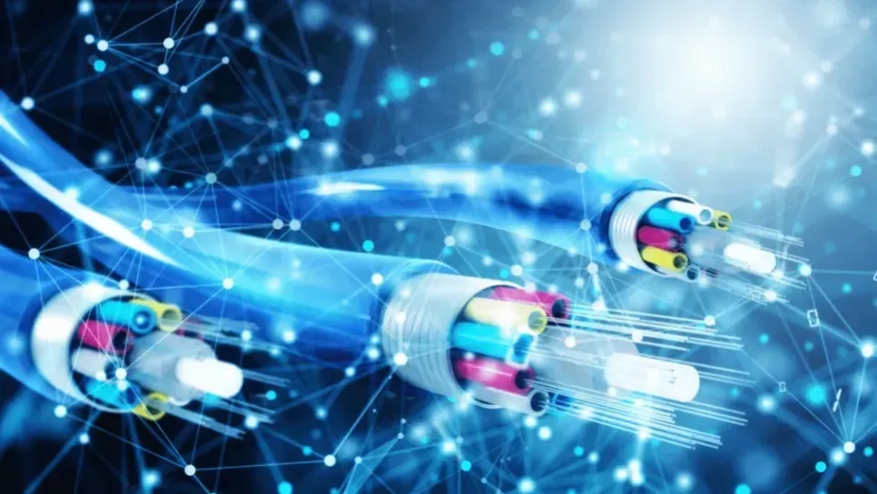 إشراك المؤسسات الناشئة في توسيع شبكة الألياف البصرية