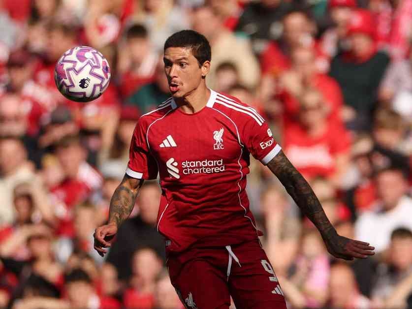 صفقة نونيز: الهلال السعودي يقترب من ضم مهاجم ليفربول