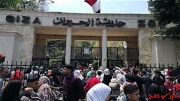 موعد افتتاح حديقة الحيوان بالجيزة 2025: خطة التطوير والتجارب الجديدة