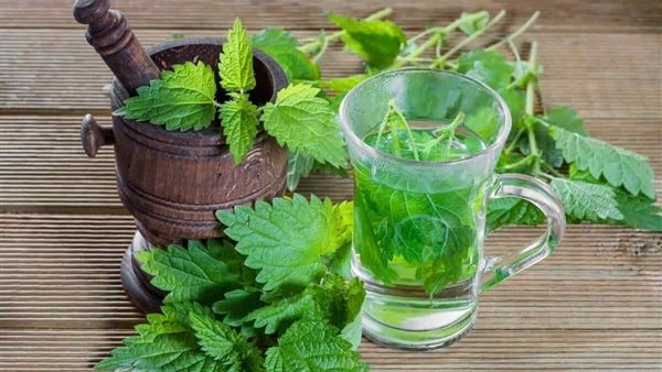 فوائد ماء النعناع للشعر.. علاج طبيعي لتساقط الشعر والقشرة