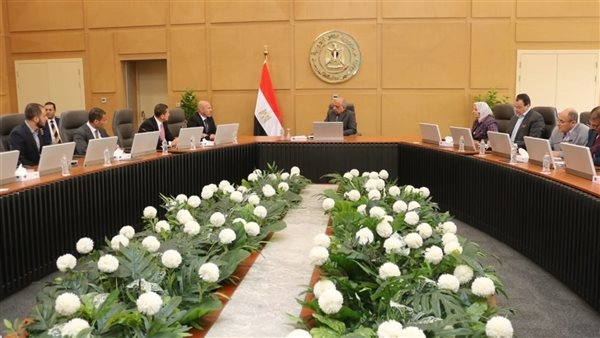مباحثات مكثفة بين وزير الكهرباء ومجموعة إنكوم للتعاون بتخزين الطاقة وصناعة البطاريات