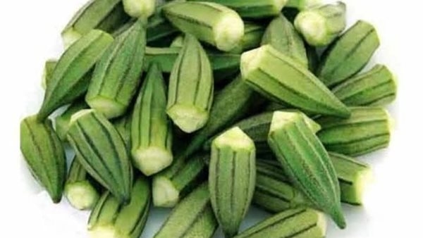 البامية سلاح غذائي مبكر لحماية الدماغ من أضرار السمنة