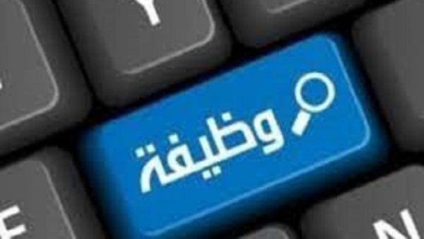 وظائف خالية للطلبة والخريجين برواتب مجزية.. اعرف الشروط المطلوبة