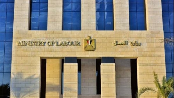 براتب 15 ألف جنيه.. العمل تعلن 115 وظيفة للشباب بإحدى شركات التطوير والتجارة