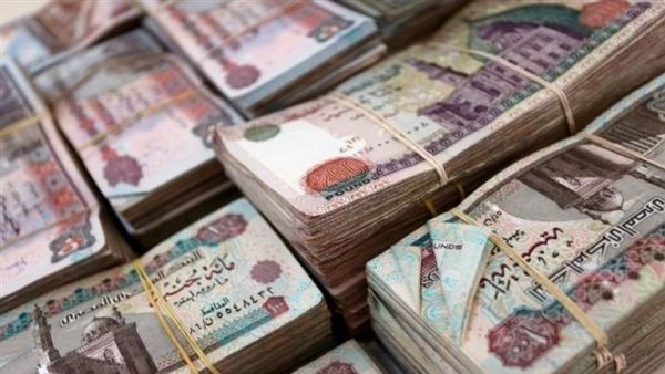 العالم السري لشركات توظيف الأموال إلكترونيا