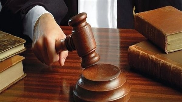 الجنايات تصدر حكمها بشأن المتهم بقتل ربة منزل بحجر في القليوبية