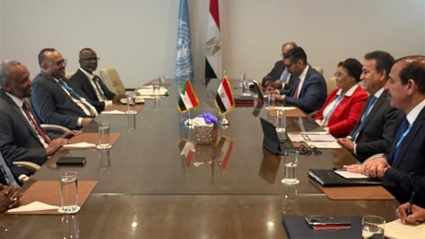 تفاصيل مناقشات وزير الصحة مع نظيره السوداني