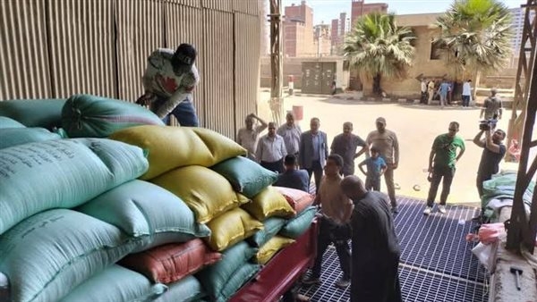 محافظ الدقهلية: توريد 250 ألف طن قمح محلي بمراكز التوريد منذ بداية الموسم