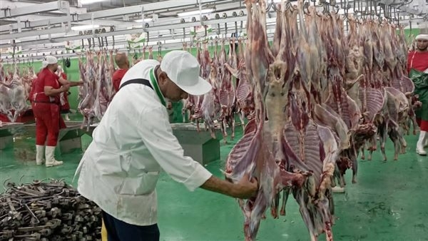 البعثة البيطرية المصرية للهدي والأضاحي تتلقى رسالة شكر من السلطات السعودية