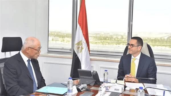 مناقشات مصرية يابانية للاستثمار في مشروعات الطاقة المتجددة وصناعة السيارات والصناعات الدوائية