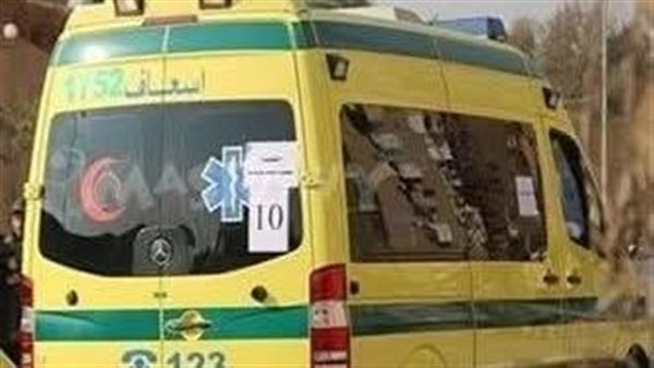 تفاصيل مصرع سيدة وإصابة ابنتها في حادث بشع بالغربية