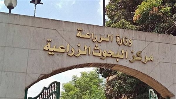 رشوة في قلب الزراعة: مسؤولون بمركز البحوث الزراعية أمام الجنايات بتهم تسهيل استخراج رخص مقابل المال