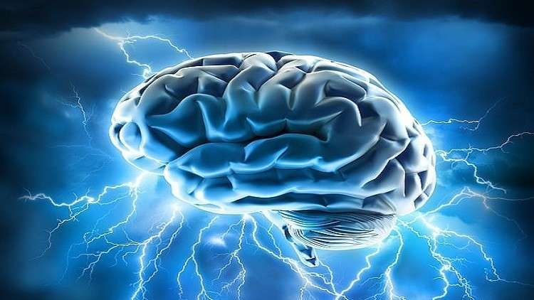 هل المخ «يأكل نفسه» أثناء ممارسة تمارين التحمل الشاقة؟