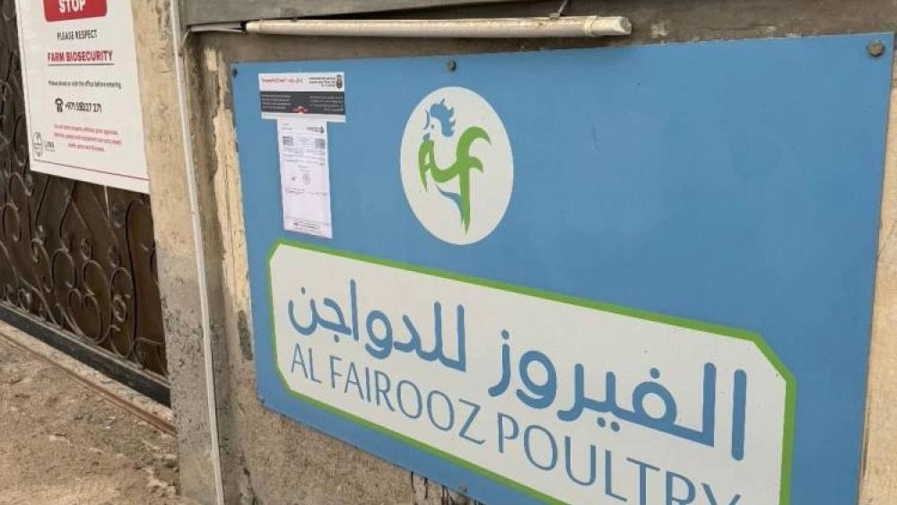 «السلامة الغذائية» تغلق «مزرعة الفيروز للدواجن» في أبوظبي
