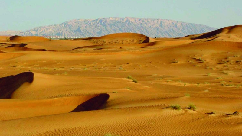 صبحة الخييلي: البادية علمتنا السعادة والرضا بأقل الأشياء