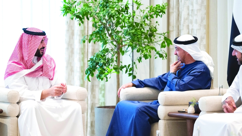 رئيس الدولة وخالد بن سلمان يبحثان تعزيز التعاون