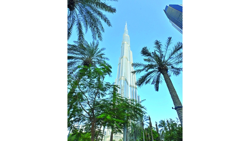 قلب دبي النابض بالخضرة والجمال