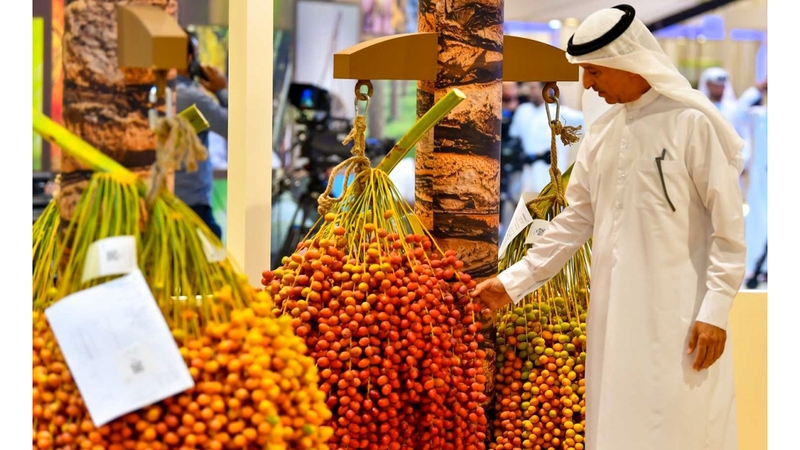 مركز حمدان بن محمد لإحياء التراث يطلق «كأس تمرة البيت»
