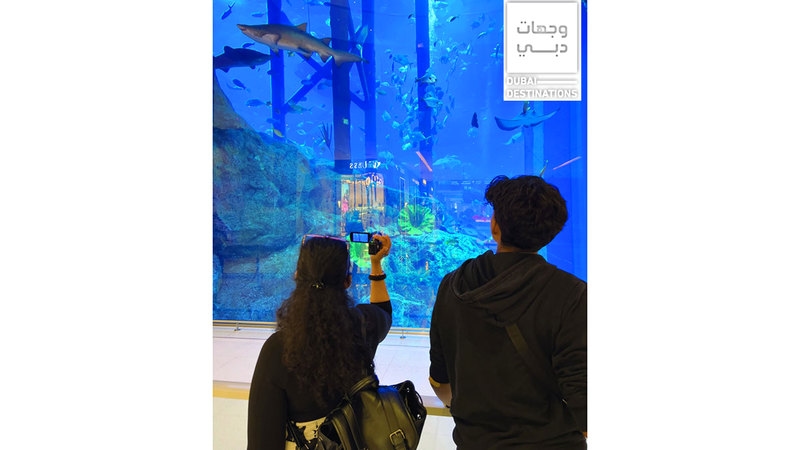 زيارة إلى 33 ألف كائن بحري