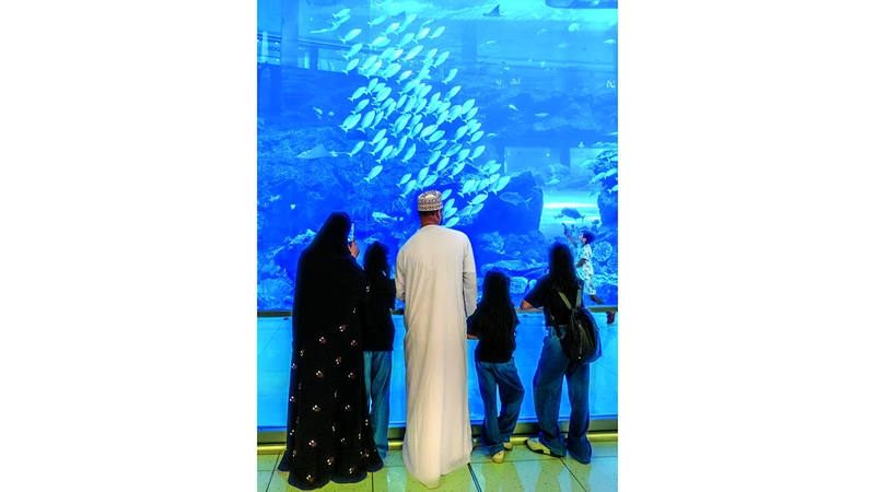 صرح بحري فريد في قلب دبي