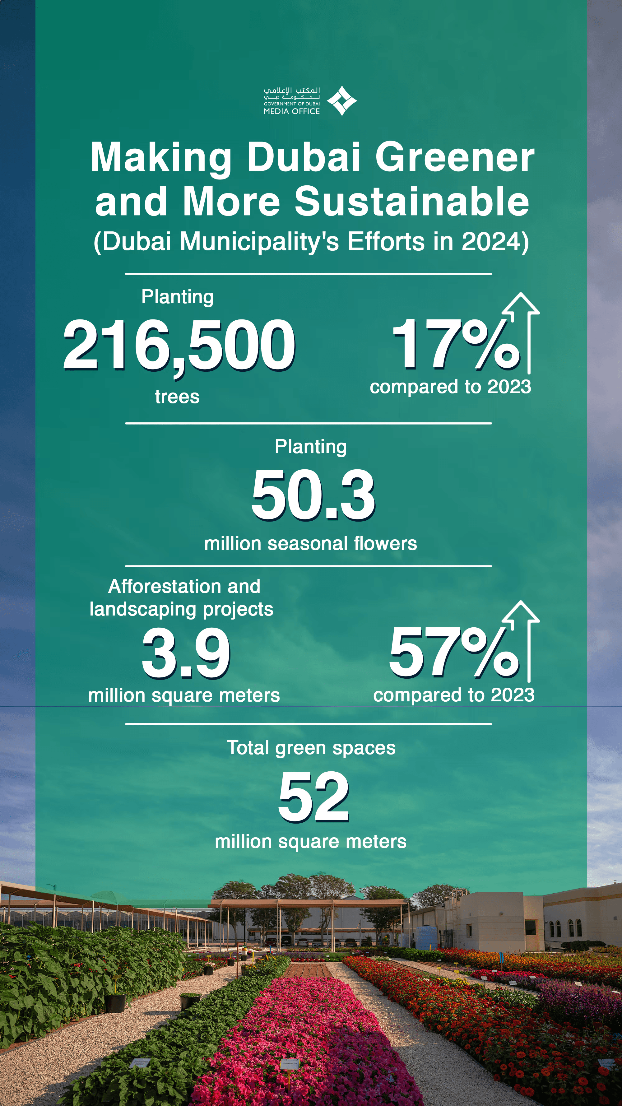 Dubai Municipality plants 216,500 new trees in 2024, boosting sustainability and enriching the city's urban environment