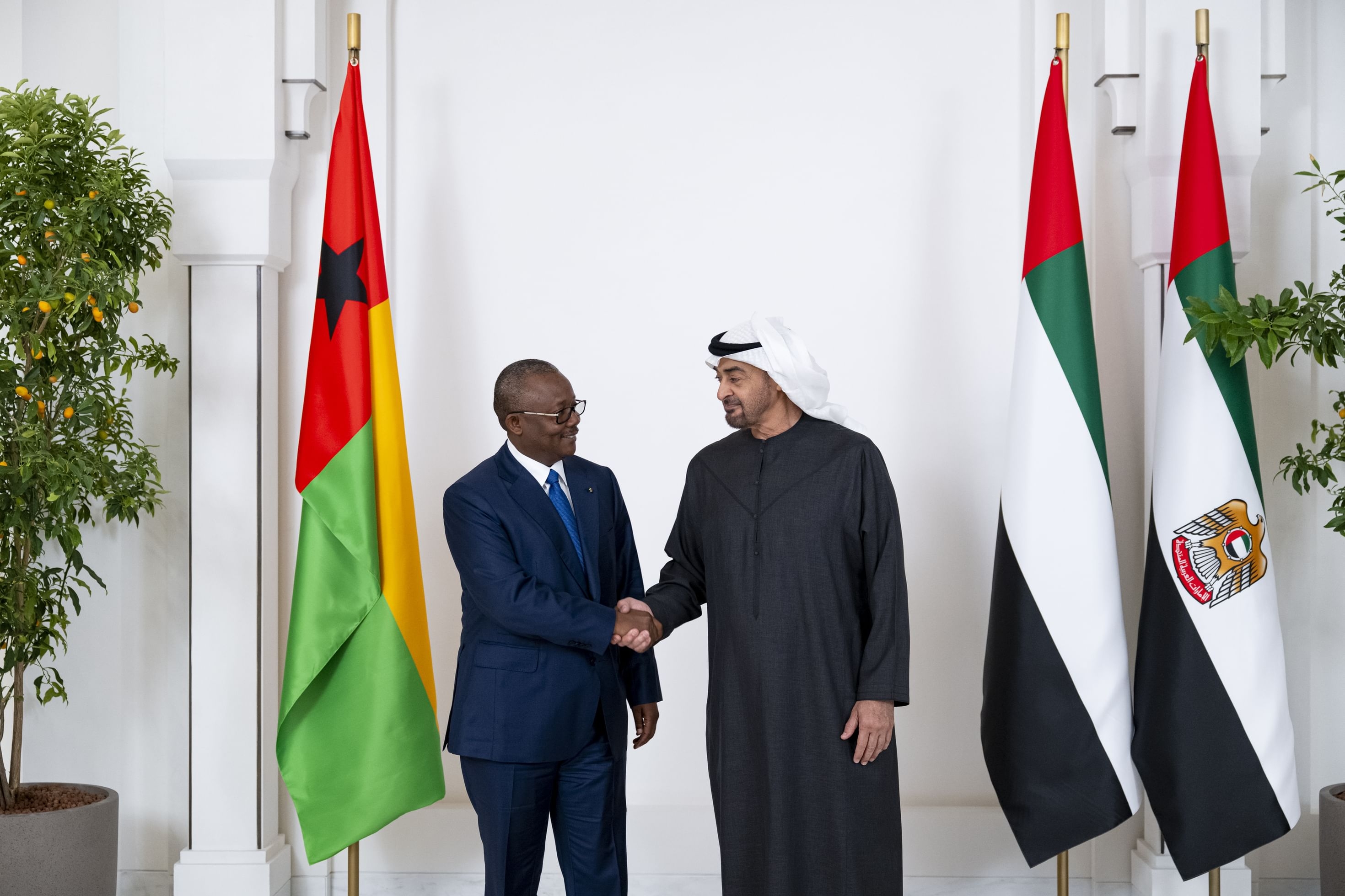 Presidents of UAE, Guinea-Bissau discuss bilateral relations, exchange honours