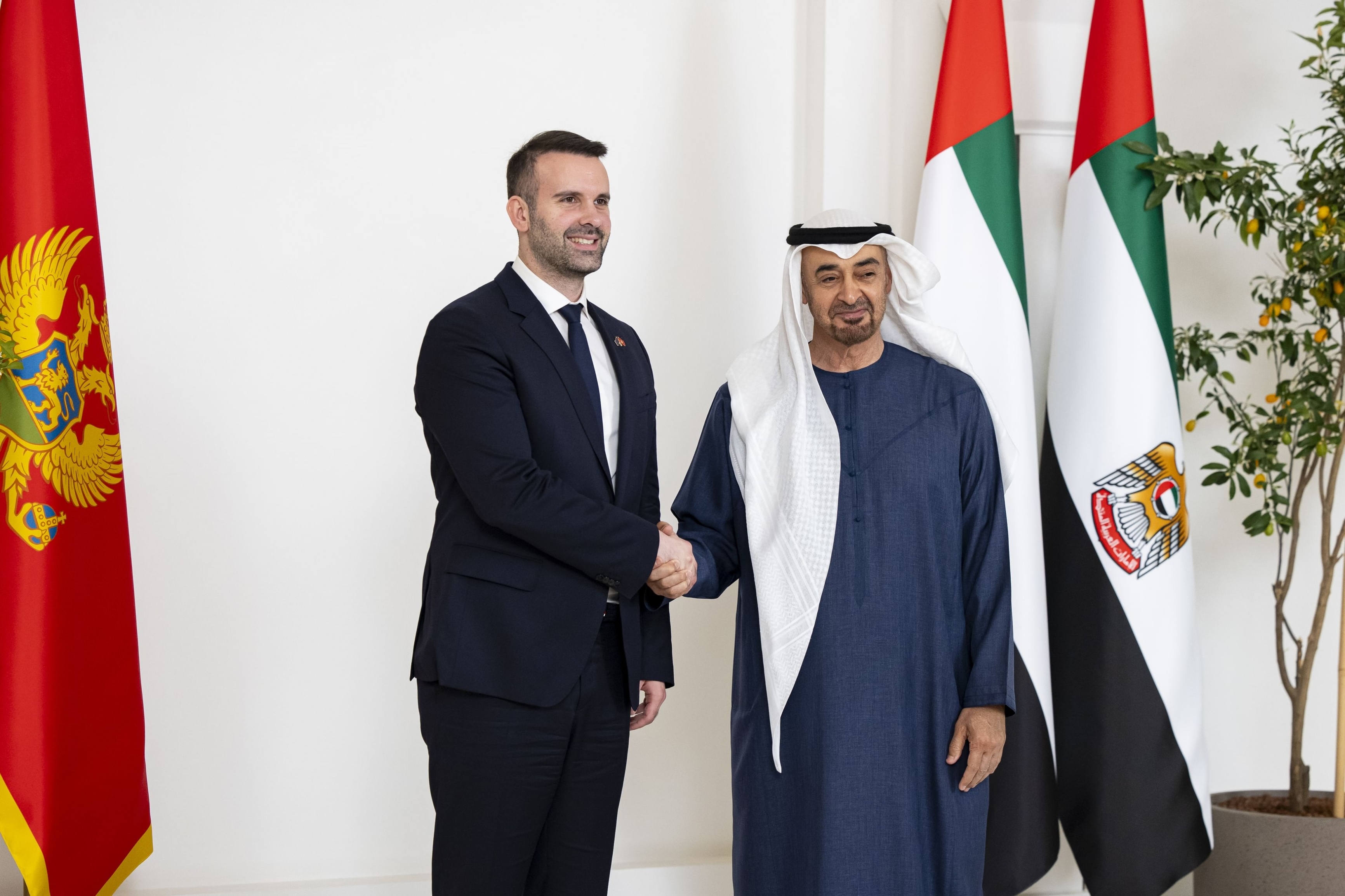 UAE President discusses strengthening bilateral relations with Montenegrin Prime Minister; witnesses signing of two agreements