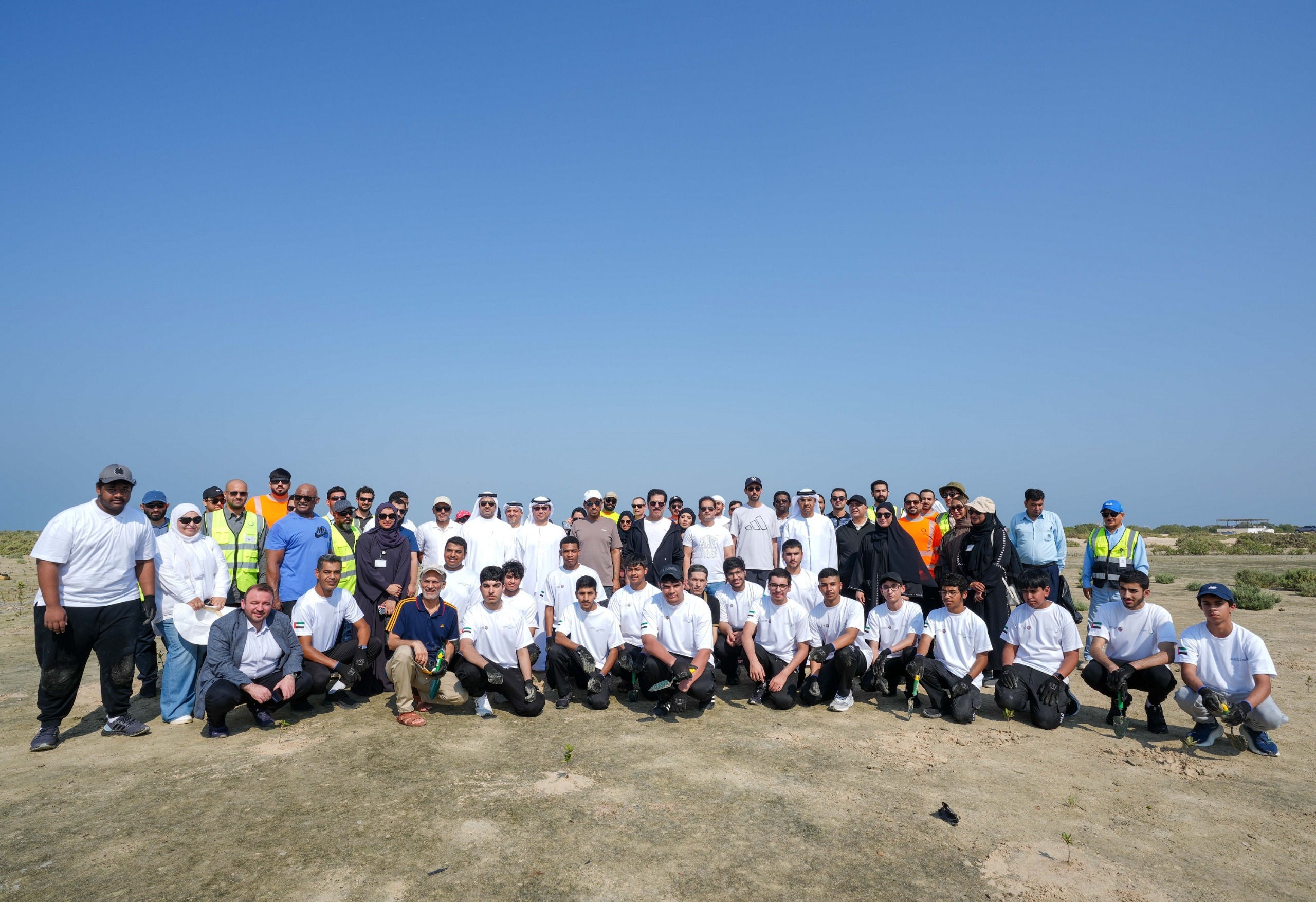 DEWA plants 13,350 mangrove trees in collaboration with Emirates Marine Environmental Group