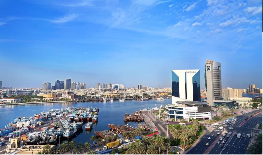 Dubai Chamber of Digital Economy supports the establishment and expansion of 308 digital startups