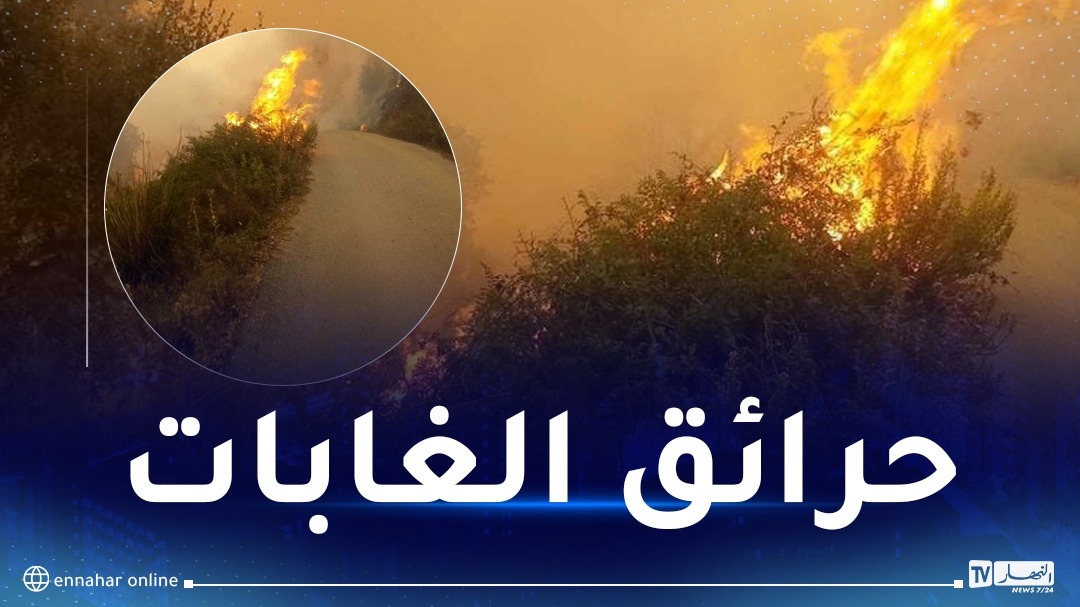 هكذا دفع أعضاء من حركة 'ماك' أموالا لحرق غابات 'بونيهي' بالشلف
