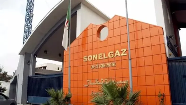 الوزير الأول النيجري يشيد بإنجازات 'سونلغاز' في إطار التعاون الثنائي بين البلدين